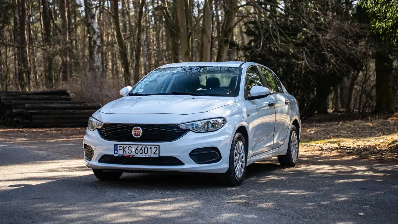 Biały Fiat Tipo 1.4 zaparkowany na leśnej drodze, otoczony drzewami i stertą drewna.