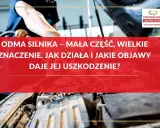 Mechanik sprawdza odme silnika. Mała część, wielkie znaczenie dla pracy auta.