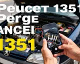 Ręce trzymają telefon, którym fotografują świece zapłonowe w silniku Peugeota. Na ekranie telefonu widoczny jest kod błędu DTC P1351.