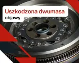Uszkodzona dwumasa w samochodzie objawia się wibracjami i hałasem. Zbliżenie na element dwumasy.