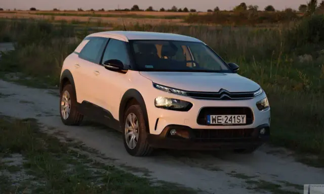 Biały Citroen Cactus na polnej drodze, w tle pole i zachodzące słońce.